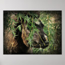 Suche nach filles poster Pferd