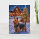 Suche nach australischer terrier Hund