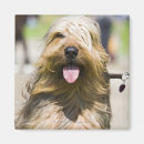 Suche nach zunge magnete Kamera betrachten