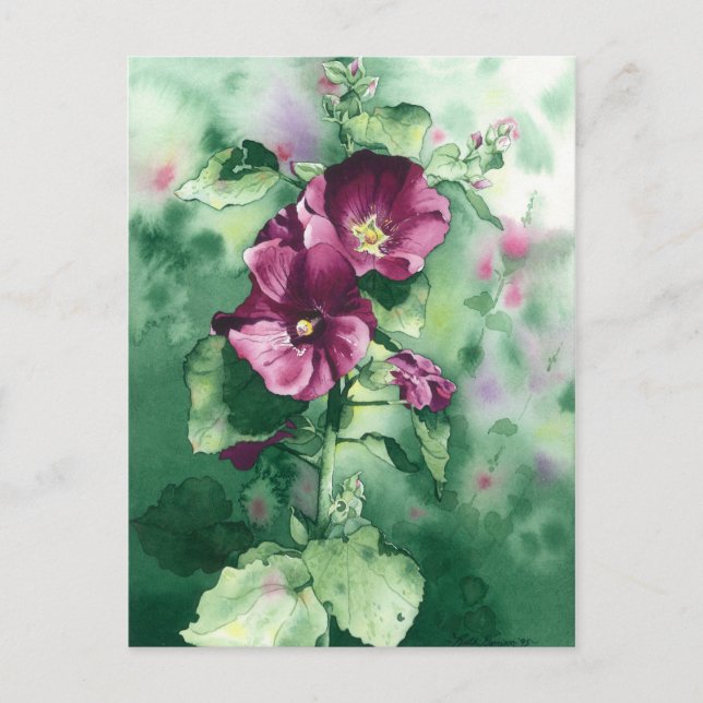 0007 Dorothy's Hollyhocks Postcard Postkarte (Vorderseite)