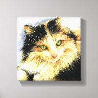 0010 Calico Cat