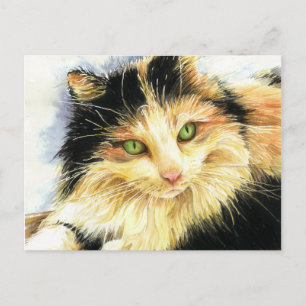 0010 Calico Cat Postkarte