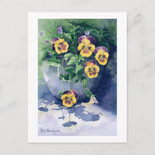 0011 Stiefmütterchen in Planter Postkarte (Vorderseite)