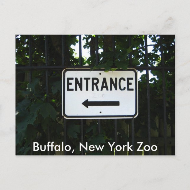 001, Buffalo, New York Zoo Postkarte (Vorderseite)