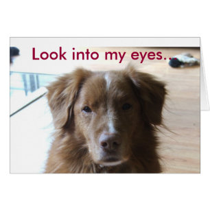 0029, Blick in meine Augen…