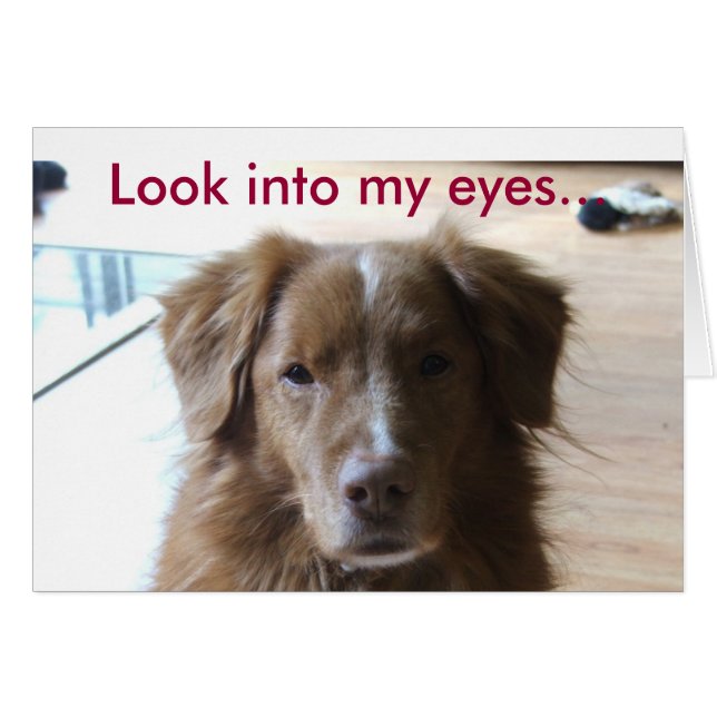 0029, Schau in meine Augen... (Vorderseite (Horizontal))