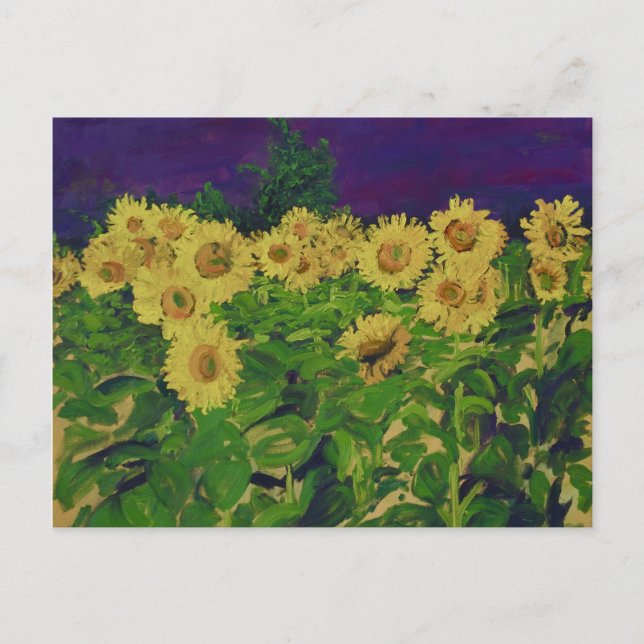 0067 le champ des tournesols postkarte (Vorderseite)