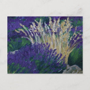 0071-le champ de lavande postkarte