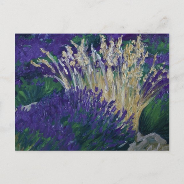 0071-le champ de lavande postkarte (Vorderseite)