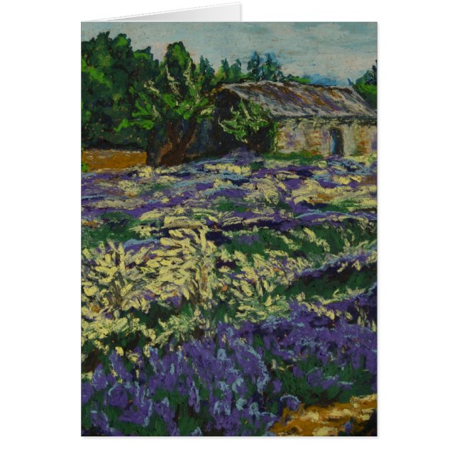 0083 le Cabanon (Vorne)