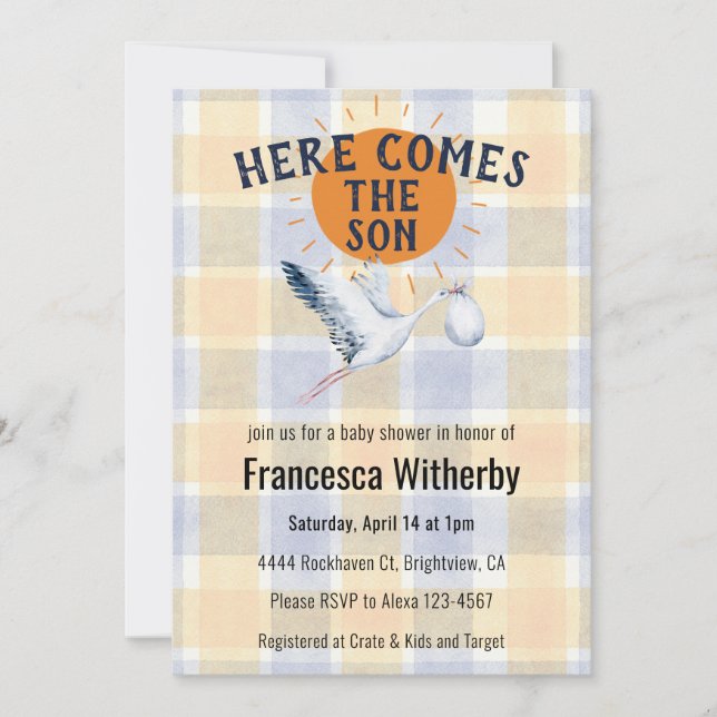 010 Amber Aquarell Kariert Storch Boho Babyparty-E Einladung (Vorderseite)