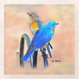 010 Glas-Untersetzer der Drossel-Liebe-4x4 Glasuntersetzer