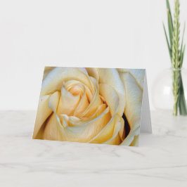 0304-Gelbe Rose Karte