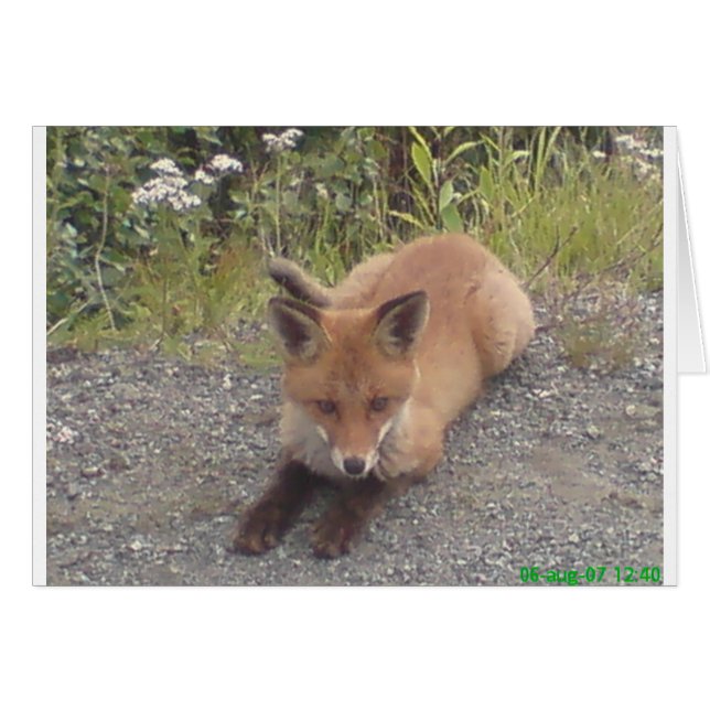 033.JPG (Vorderseite (Horizontal))