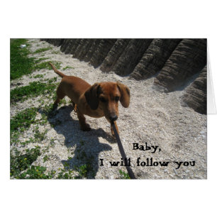03-21-10 118, Baby, ich werde Ihnen folgen