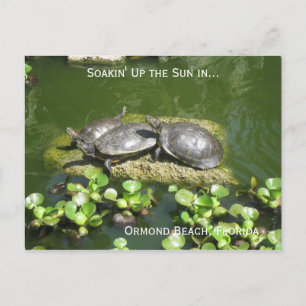 03-21-10 246, Ormond Beach, Florida, Soakin' Up... Postkarte