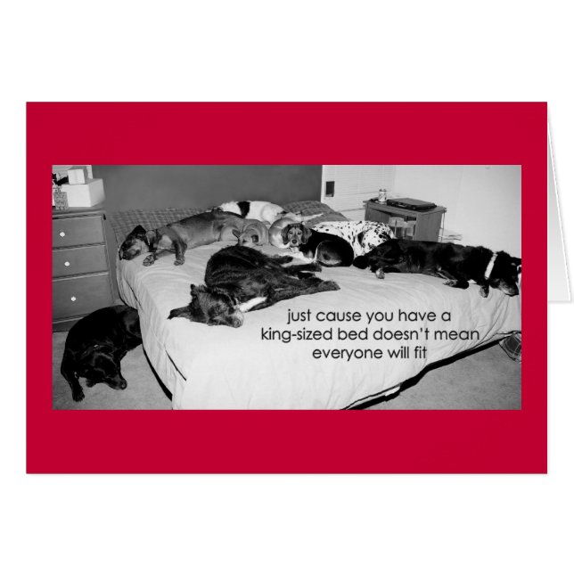 03 Grund (Vorderseite (Horizontal))