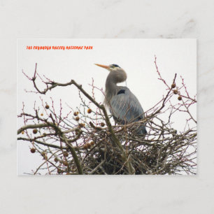 040111-70-APC POSTKARTE