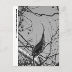 040510-9-APC POSTKARTE