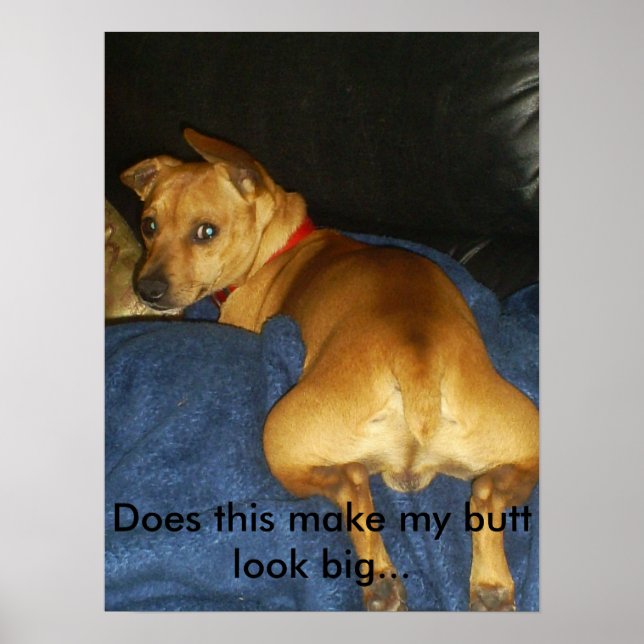 042, Macht das meinen Hintern groß aussehen? Poster (Vorne)