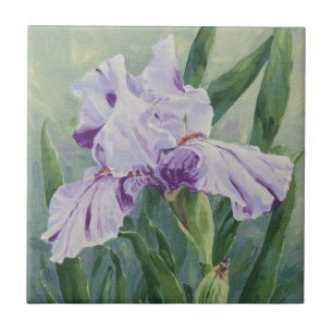 0440 Lila Iris Fliese