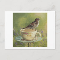 0470 Sparrow Postkarte