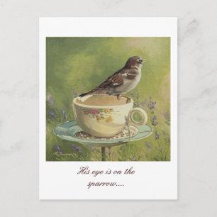 0470 Sparrow Postkarte