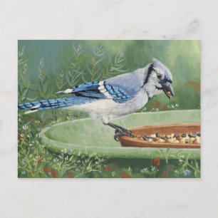 0481 Blue Jay am Einhängepostkarte Postkarte