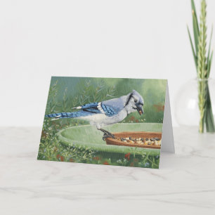 0481 Blue Jay at Feeder Sympathy Card Karte