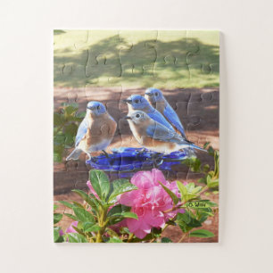 050 Drosseln verwirren Kinder für immer 11x14 Puzzle
