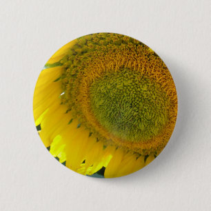 057.JPG BUTTON