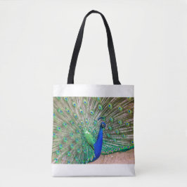 0601-Peacock
