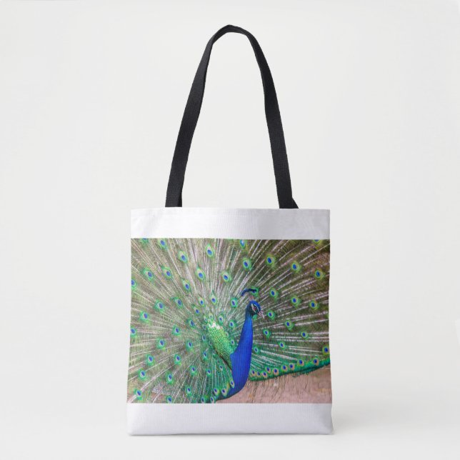 0601-Peacock (Vorderseite)