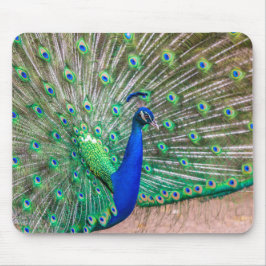 0601-Peacock Mousepad