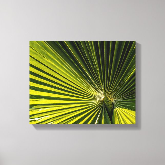 0749-Palm Leaf Leinwanddruck (Vorderseite)