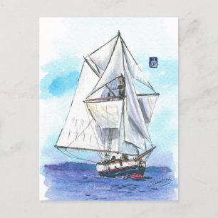 (078) Jolly Breeze Sailboat Postkarte