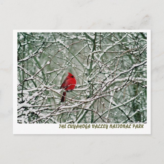 080806-25-APC POSTKARTE (Vorderseite)