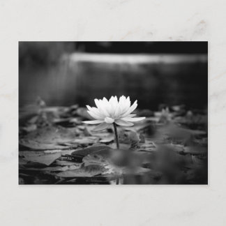 085-Serie1 Postkarte