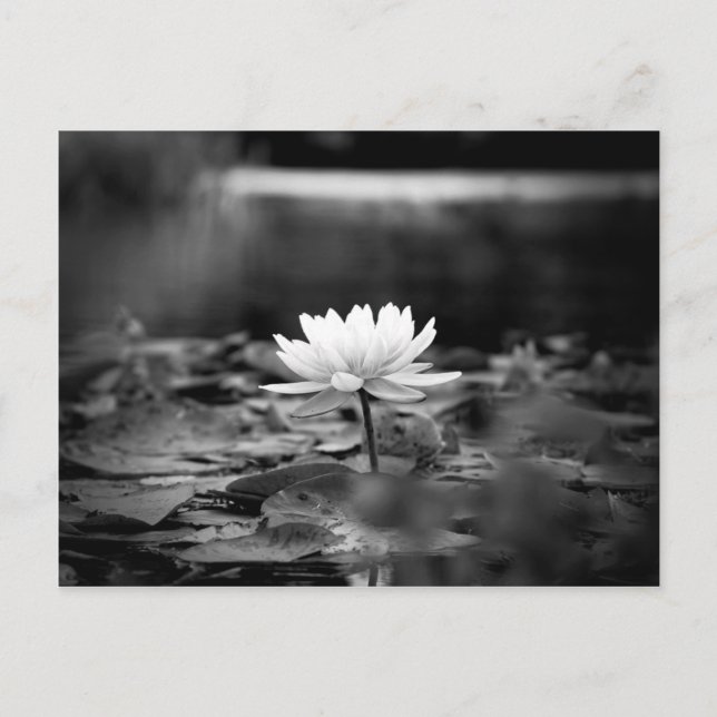 085-Serie1 Postkarte (Vorderseite)