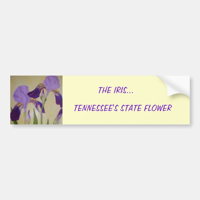 087, DIE IRIS…, TENNESSEES STAATS-BLUME AUTOAUFKLEBER (Vorne)