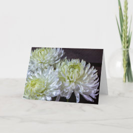 0921-White Spider Mums Karte