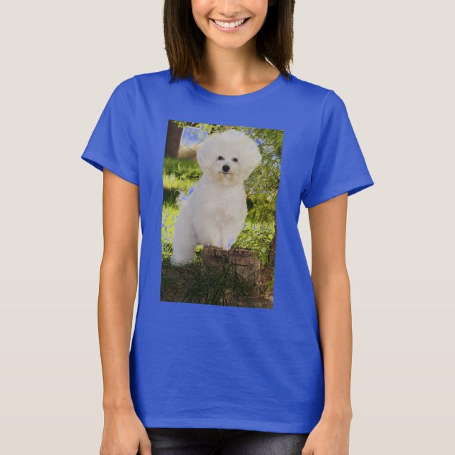 09, DE ISHBILIA BICHON FRISE T-Shirt (Vorderseite)