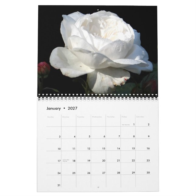 0 2013 prachtvolle Rosen Kalender (Jan 2027)