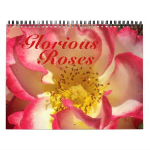 0 2013 prachtvolle Rosen Kalender