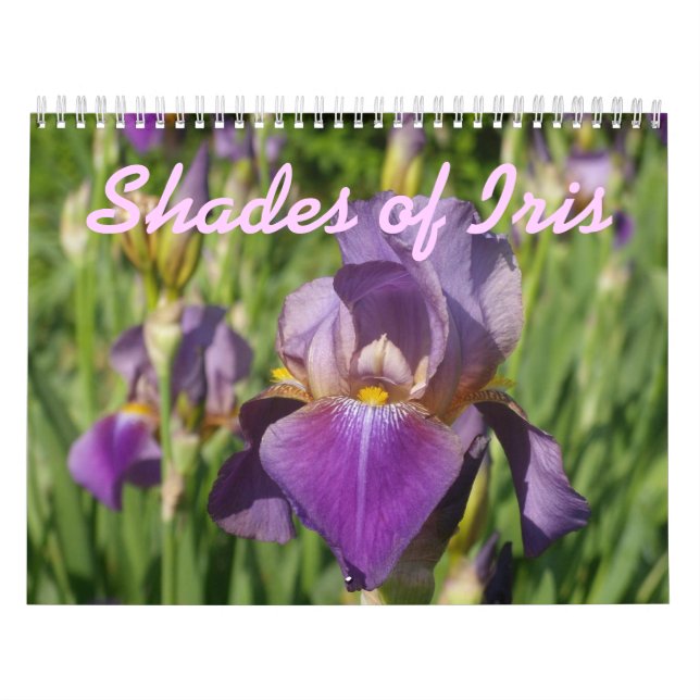 0 2013 Schatten Iris Kalender (Titelbild)