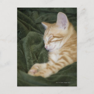 0 2 POSTKARTE