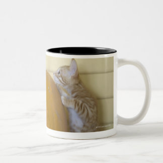 0 ZWEIFARBIGE TASSE