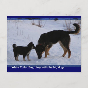 0WCB_boy, ... Postkarte