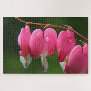 1000 Stück Blutung Herz Jigsaw Puzzle