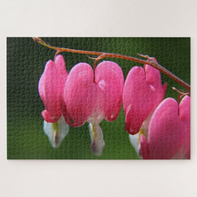 1000 Stück Blutung Herz Jigsaw Puzzle (Horizontal)